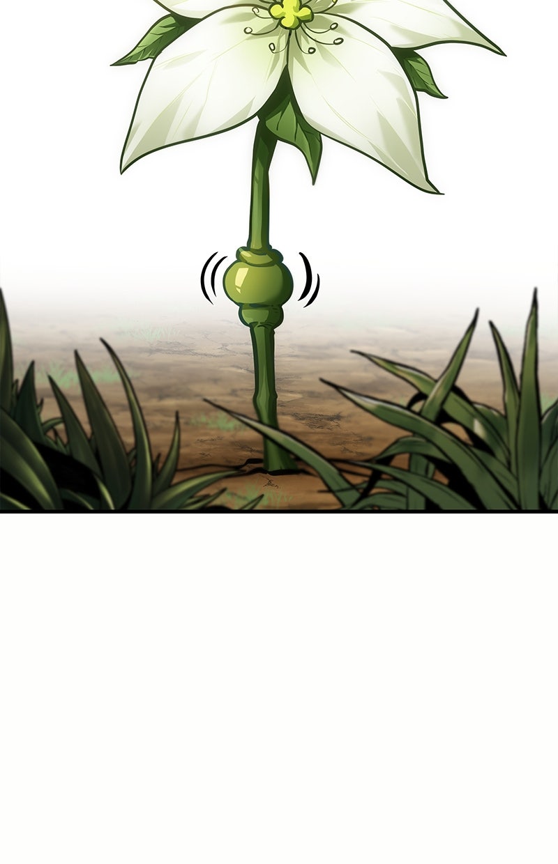 Read Der allwissende Leser DE Manga Online