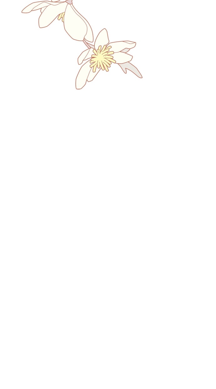 Read From a Knight to a Lady DE Manga Online