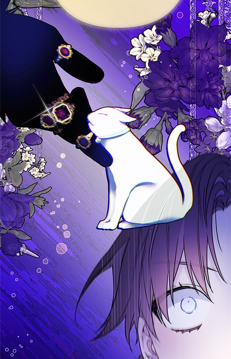 Read From a Knight to a Lady DE Manga Online