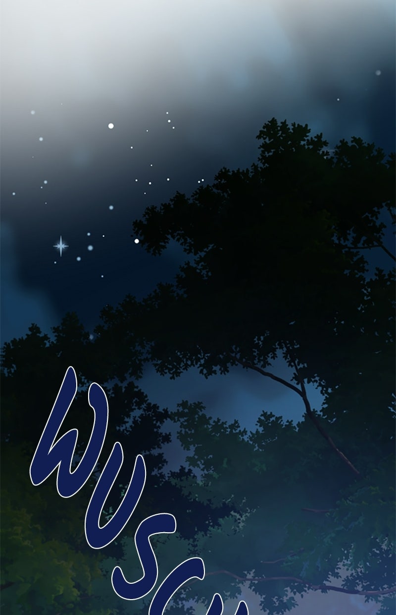 Read From a Knight to a Lady DE Manga Online