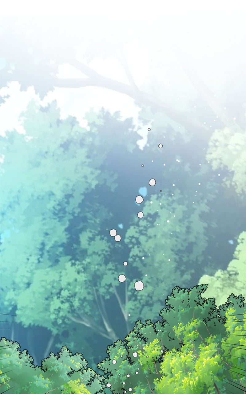 Read From a Knight to a Lady DE Manga Online