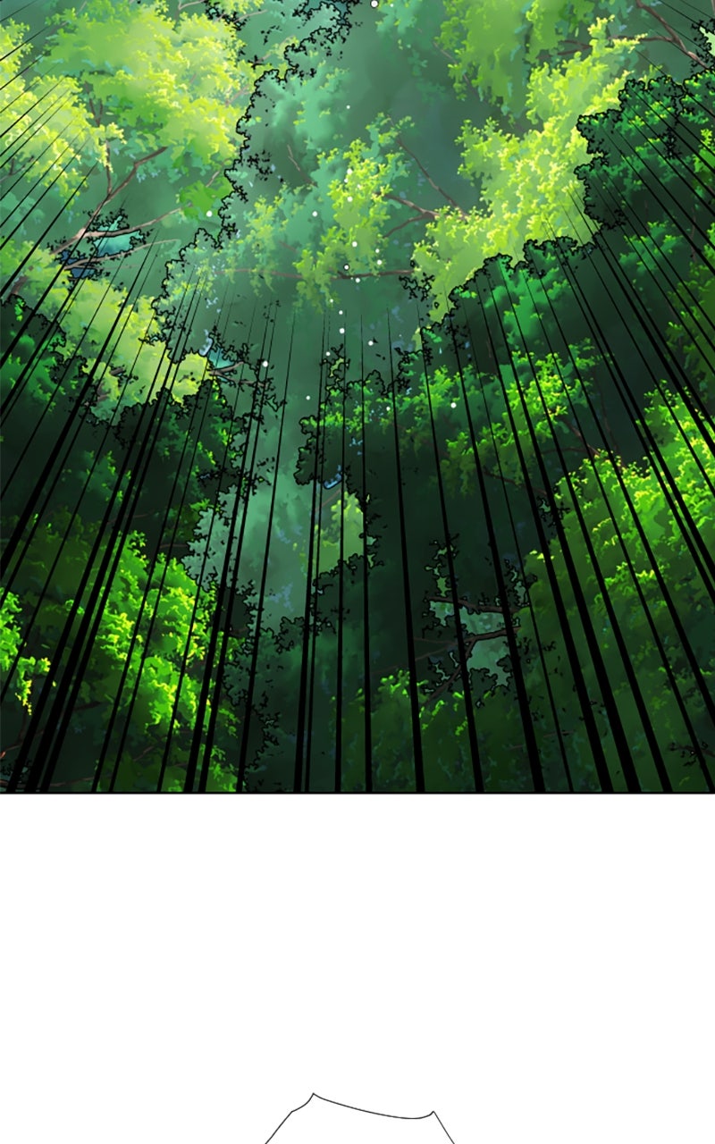 Read From a Knight to a Lady DE Manga Online