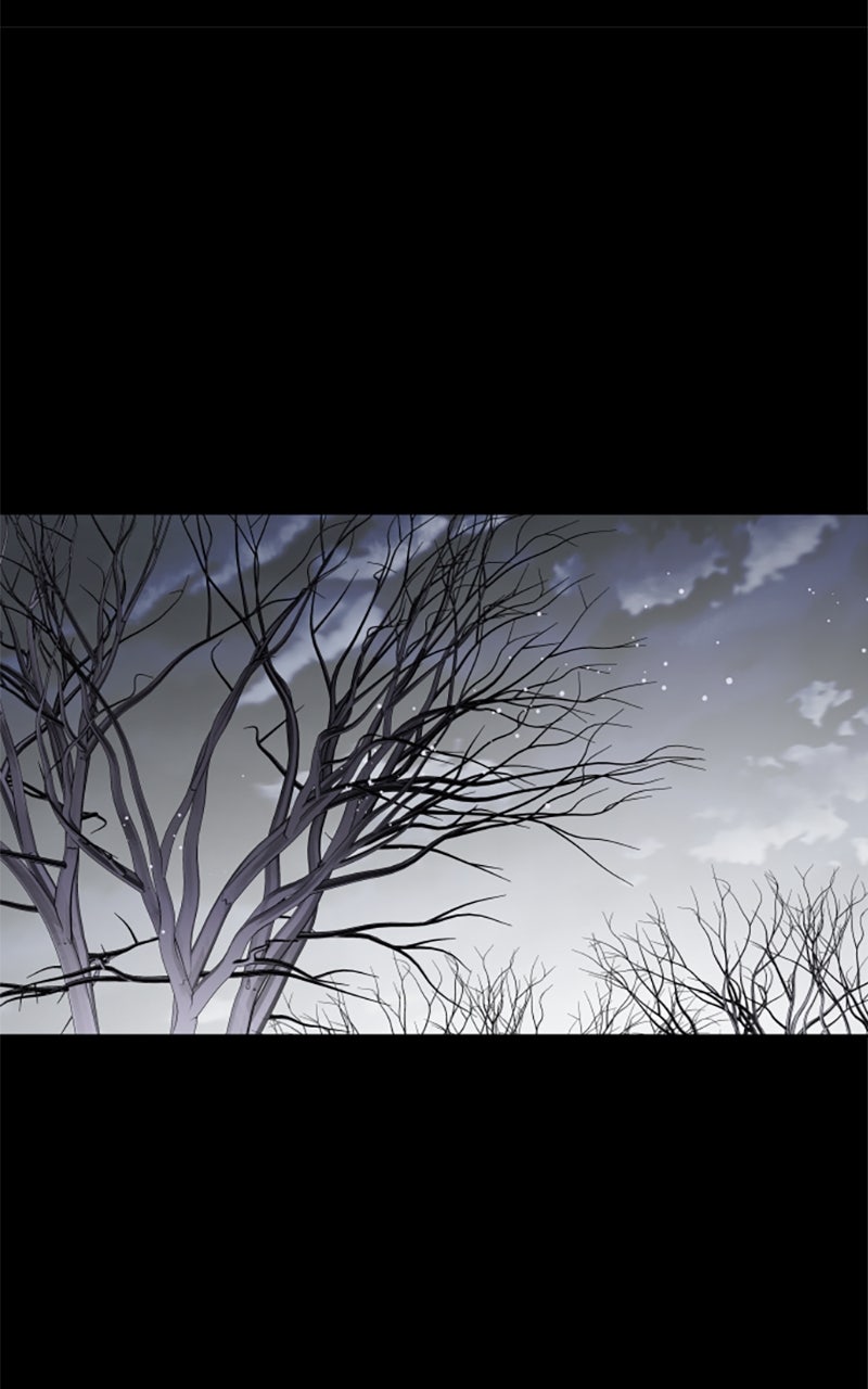 Read From a Knight to a Lady DE Manga Online