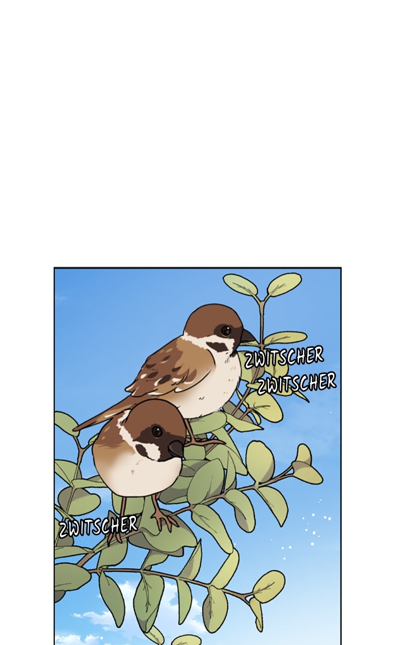 Read From a Knight to a Lady DE Manga Online