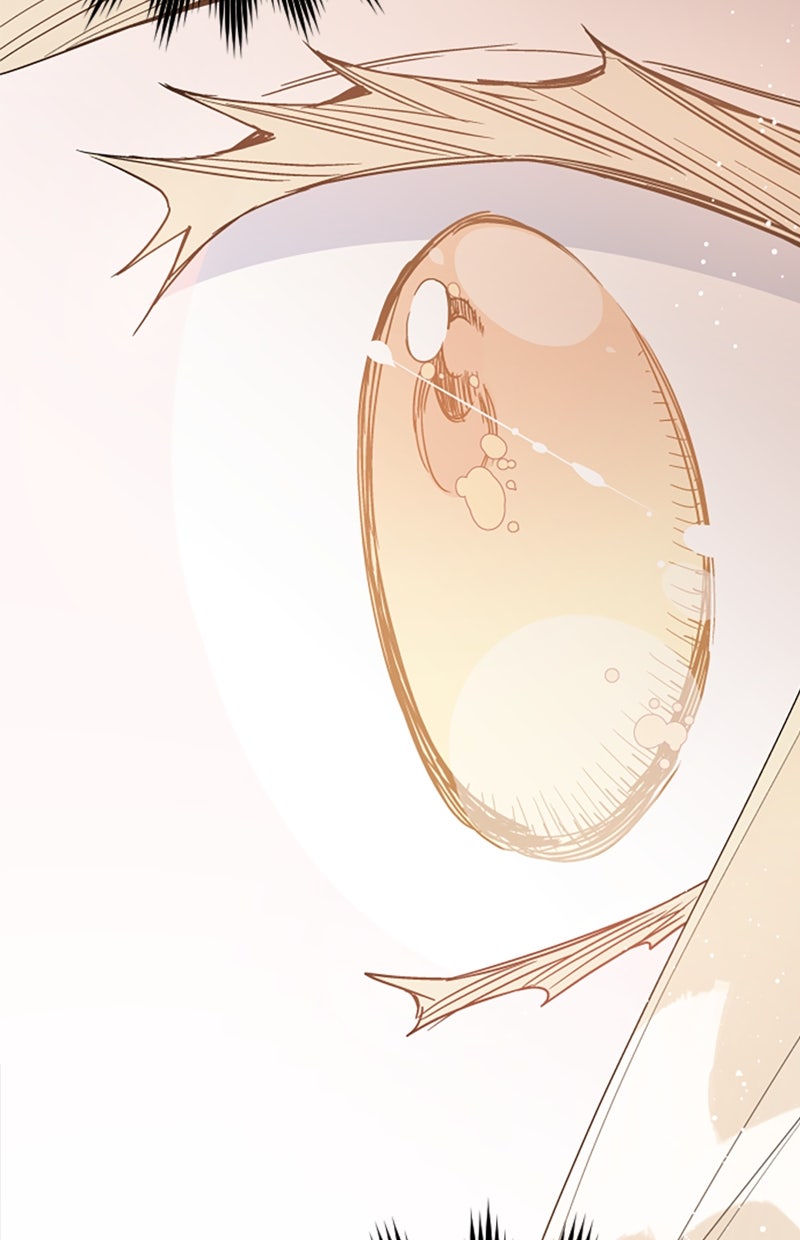 Read From a Knight to a Lady DE Manga Online