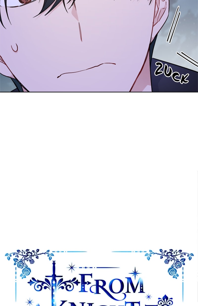 Read From a Knight to a Lady DE Manga Online