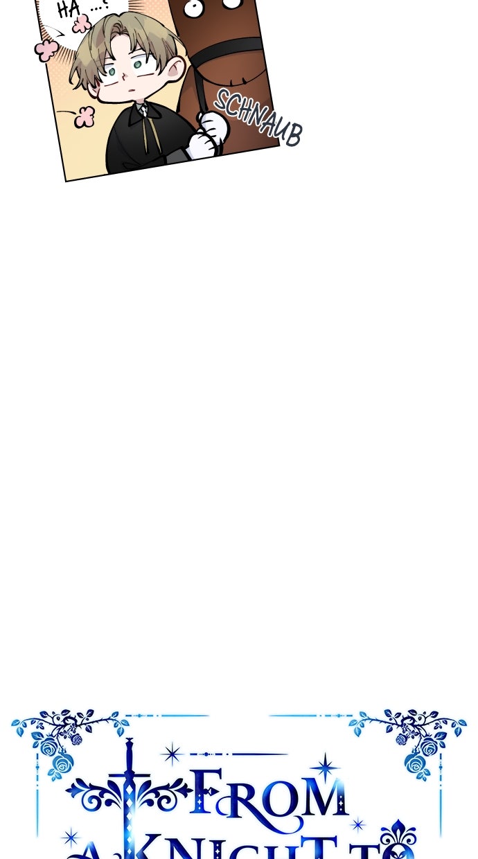 Read From a Knight to a Lady DE Manga Online