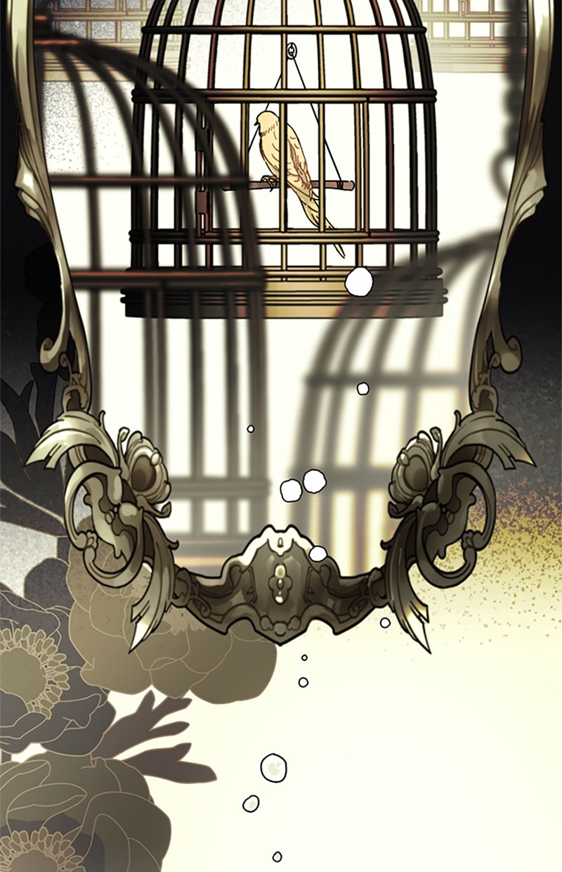 Read From a Knight to a Lady DE Manga Online