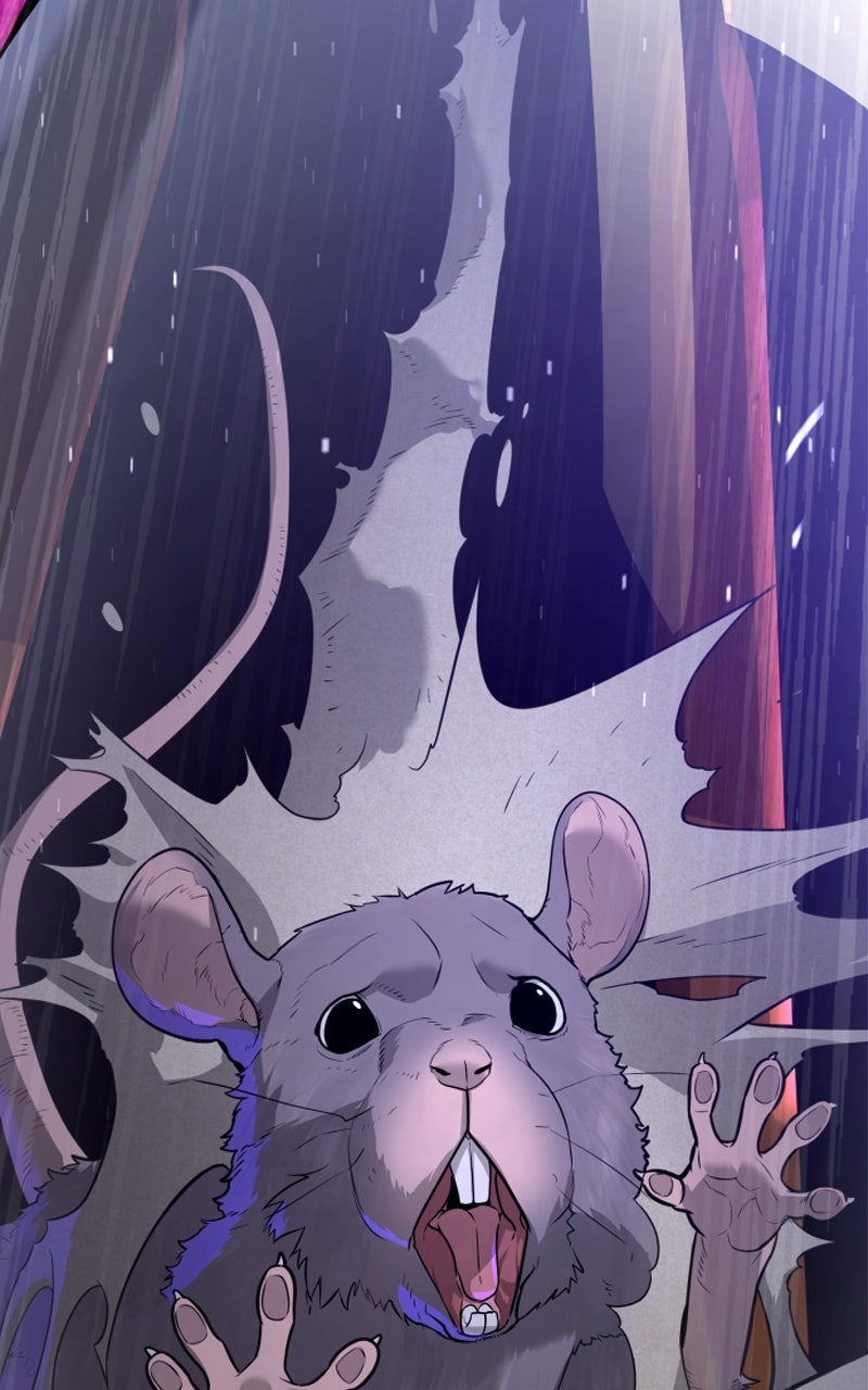 Read Killer Peter DE Manga Online