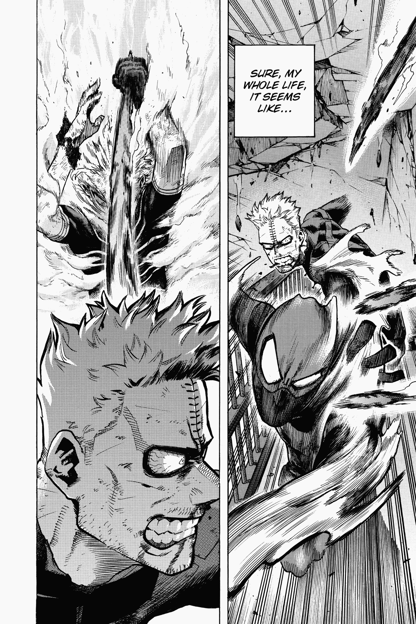 Read Boku no Hero Academia EN Manga Online