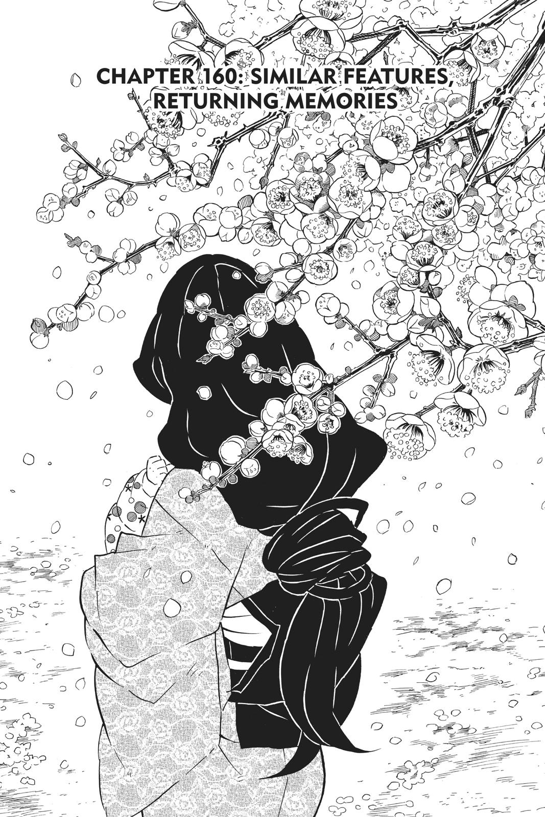 Read Demon Slayer_ Kimetsu no Yaiba EN Manga Online