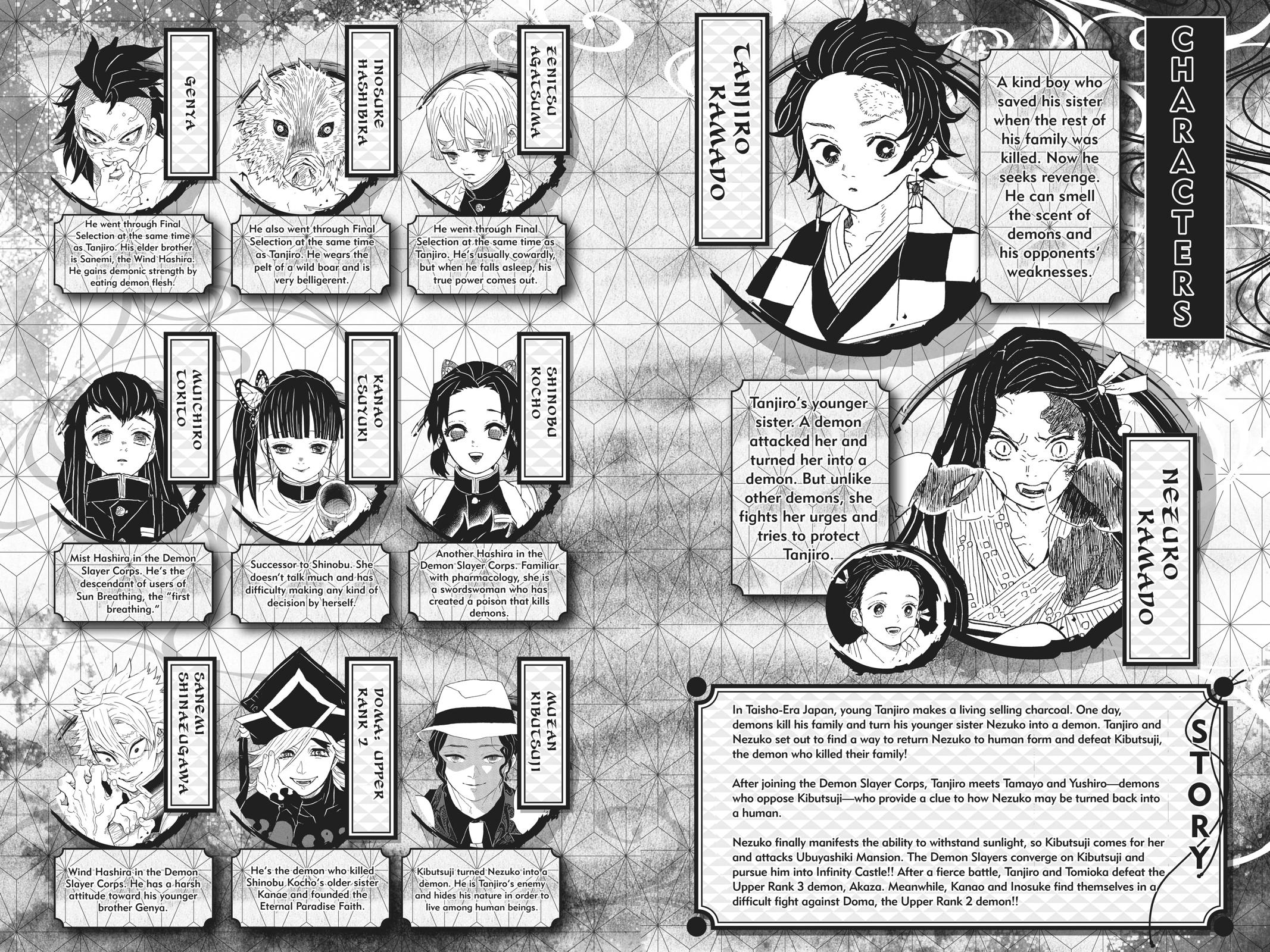 Read Demon Slayer_ Kimetsu no Yaiba EN Manga Online