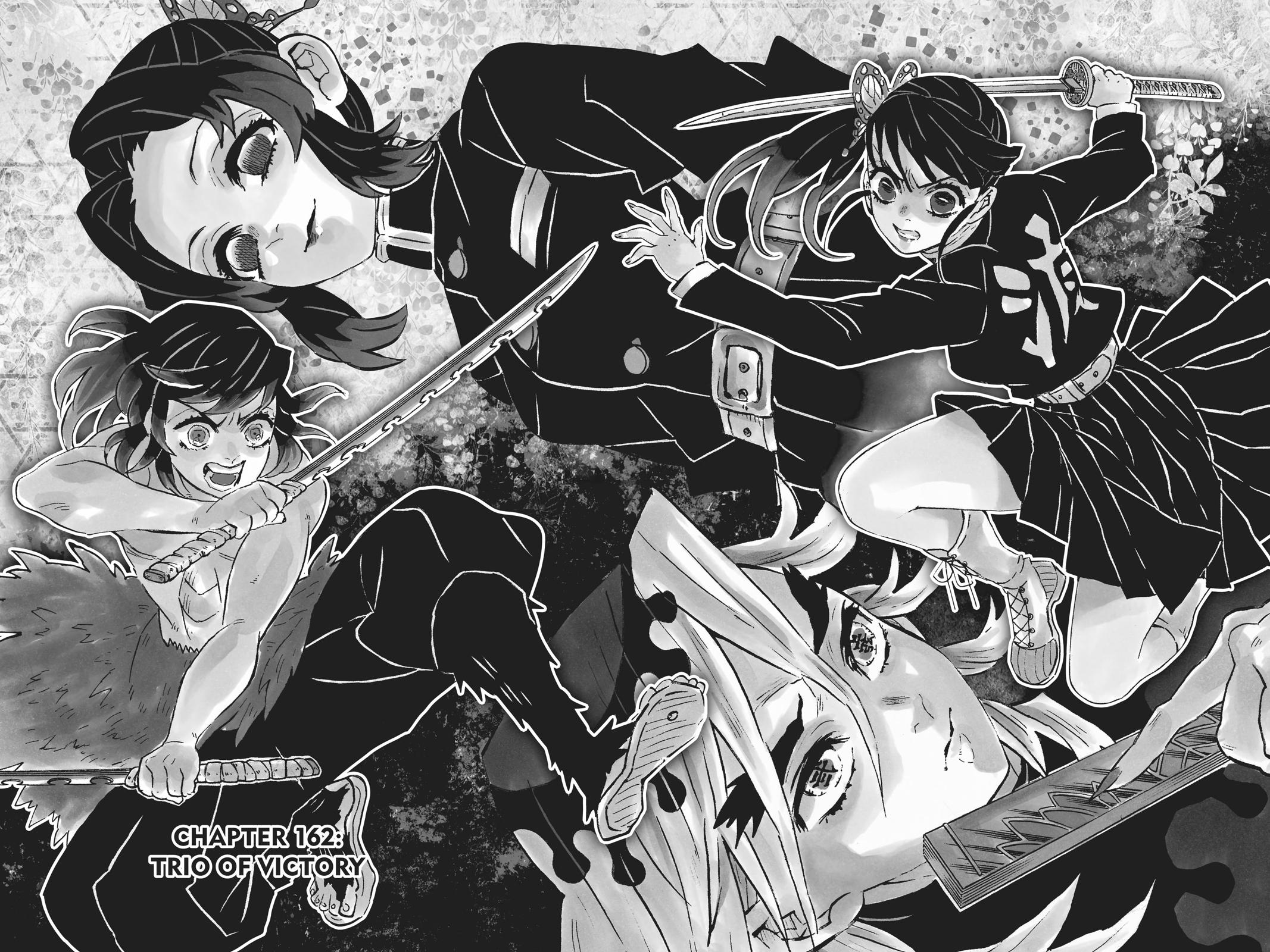 Read Demon Slayer_ Kimetsu no Yaiba EN Manga Online