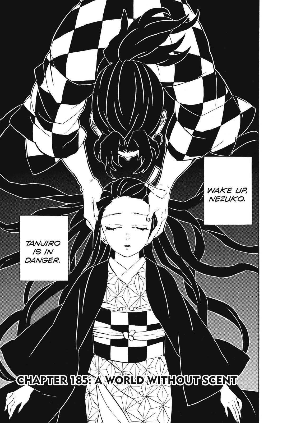 Read Demon Slayer_ Kimetsu no Yaiba EN Manga Online