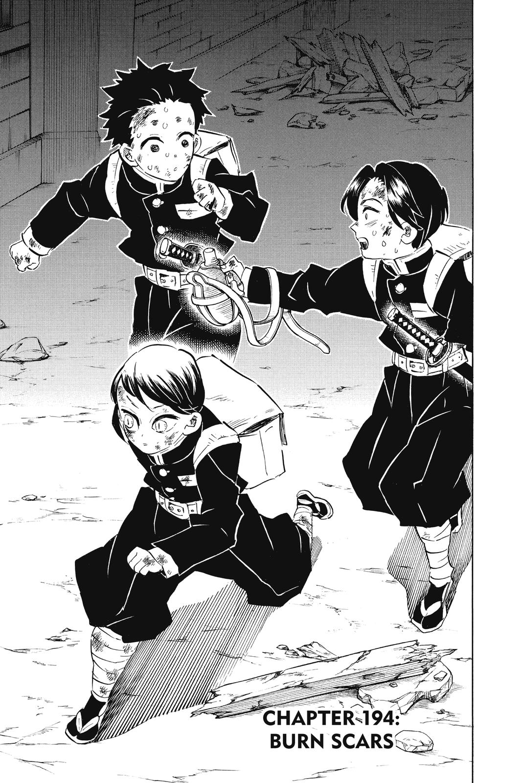 Read Demon Slayer_ Kimetsu no Yaiba EN Manga Online