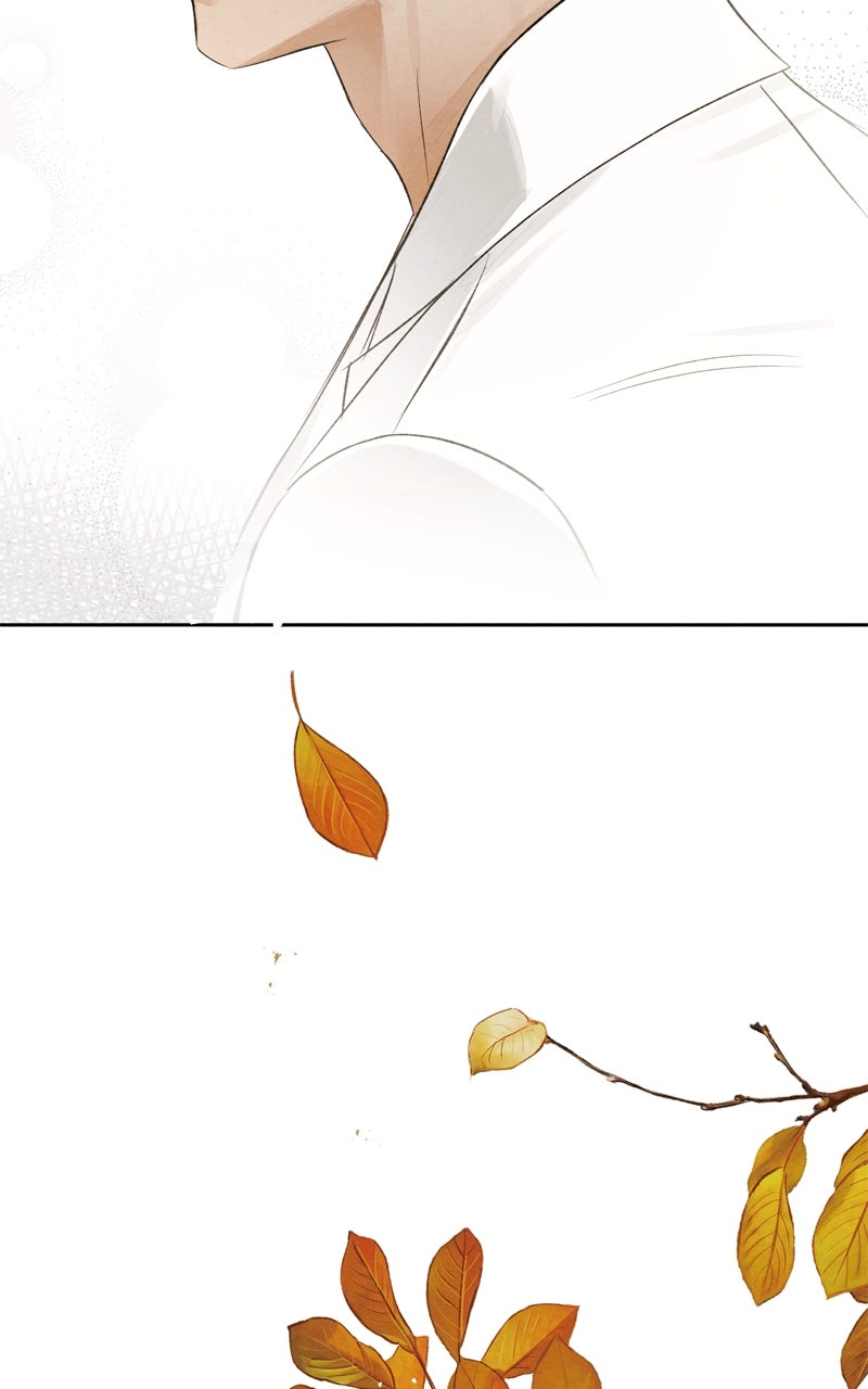 Read Dr. Kim of London EN Manga Online