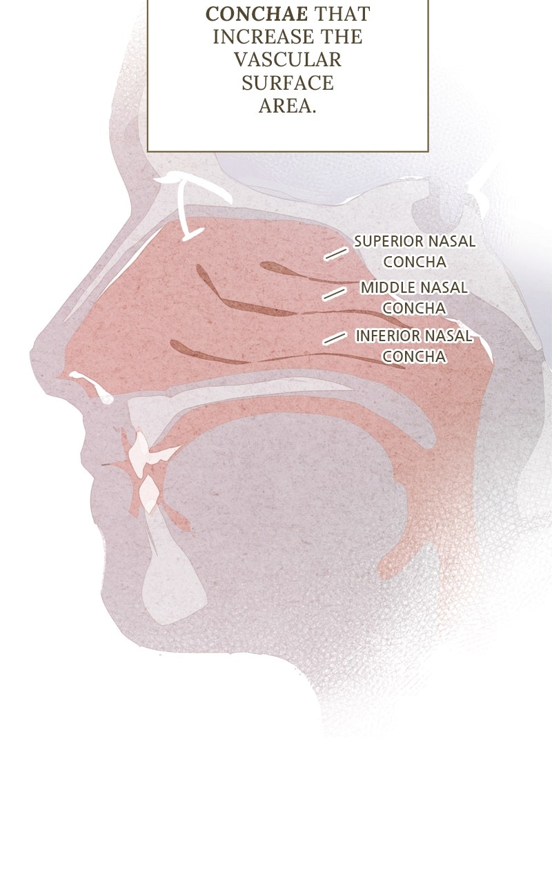 Read Dr. Kim of London EN Manga Online