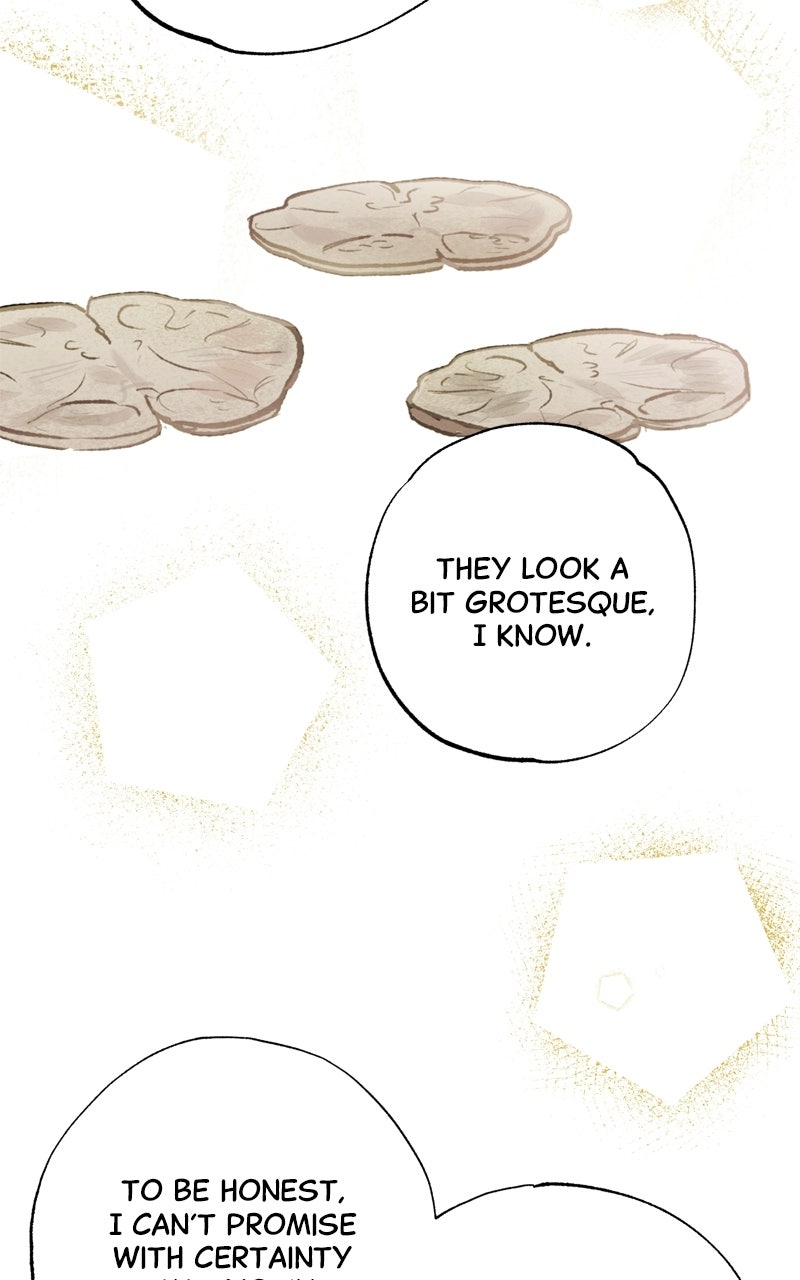 Read Dr. Kim of London EN Manga Online