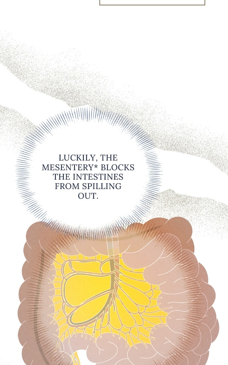 Read Dr. Kim of London EN Manga Online