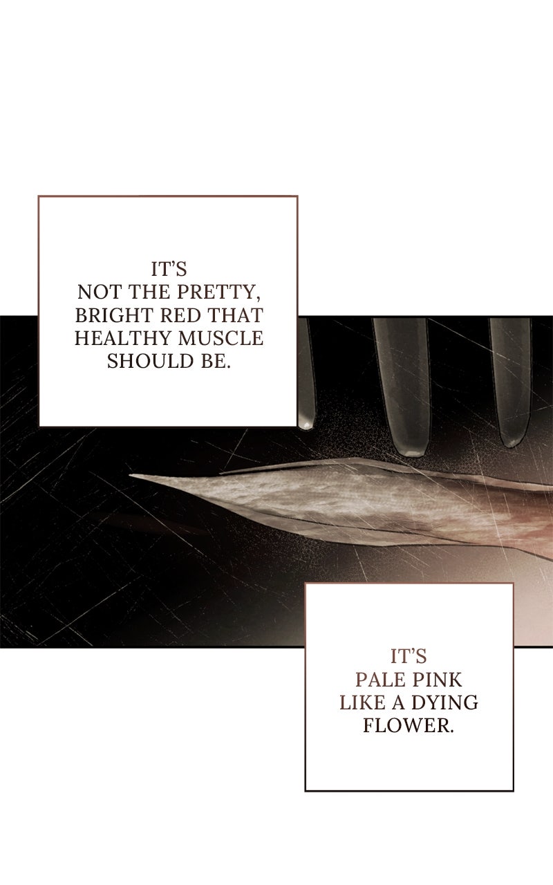 Read Dr. Kim of London EN Manga Online