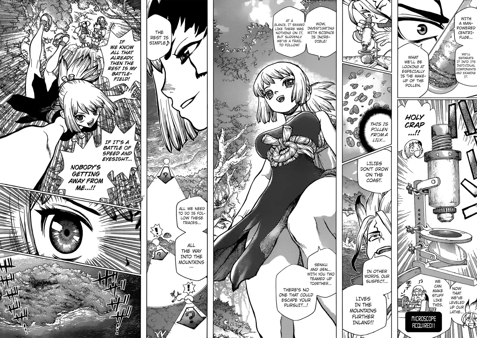 Read DrStone EN Manga Online