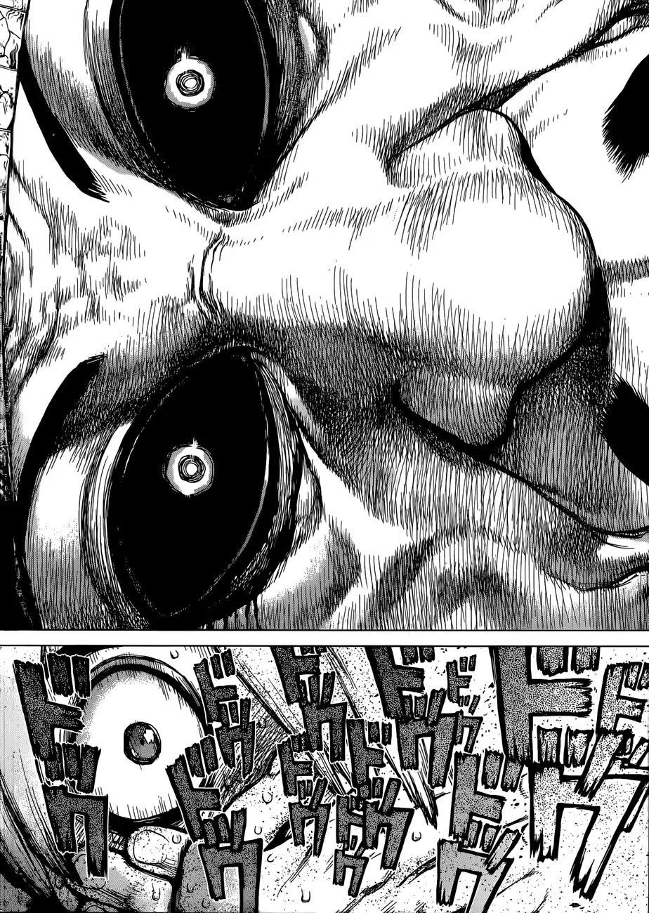 Read DrStone EN Manga Online