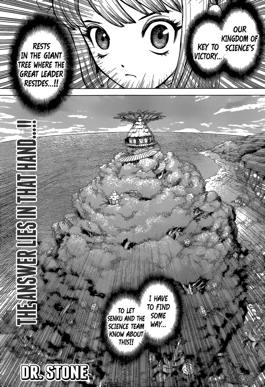Read DrStone EN Manga Online