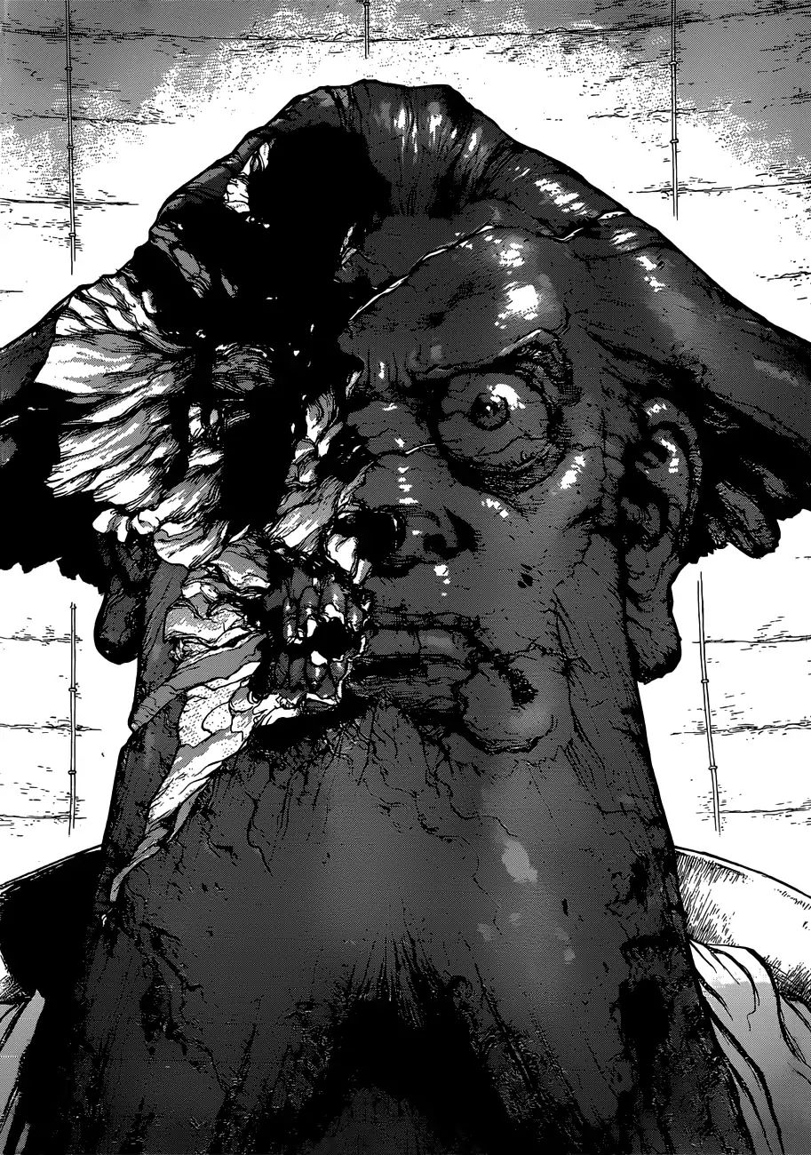 Read DrStone EN Manga Online