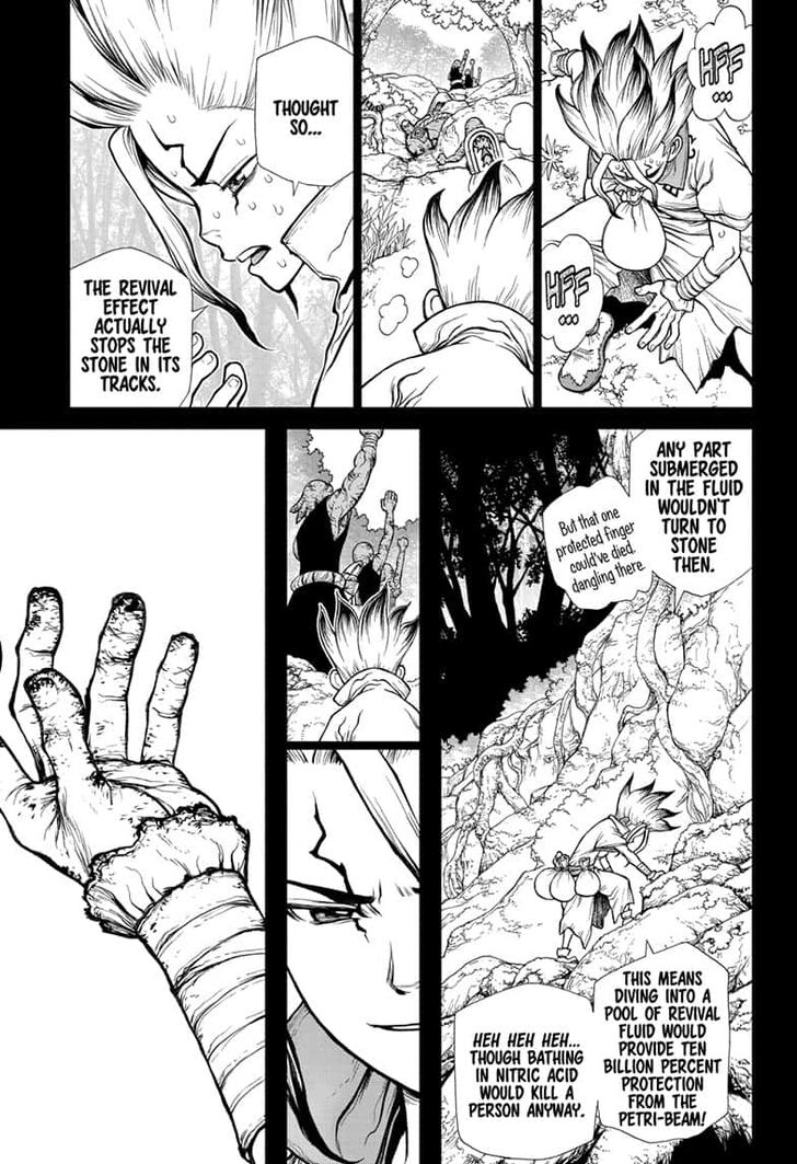 Read DrStone EN Manga Online