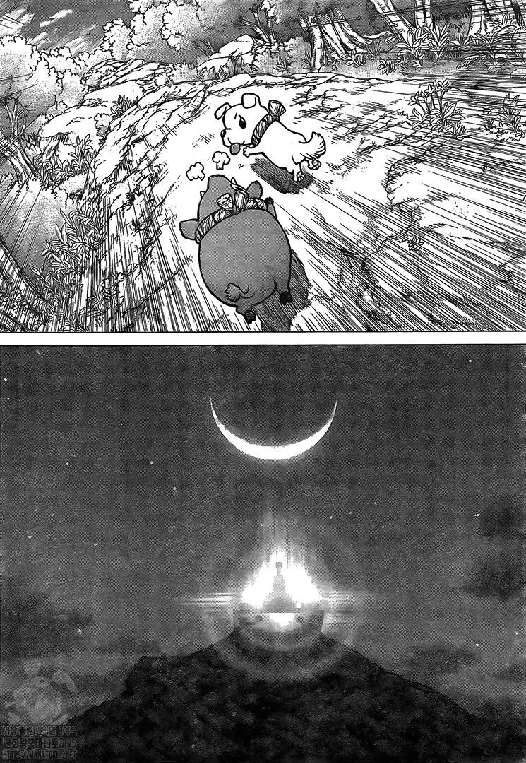 Read DrStone EN Manga Online