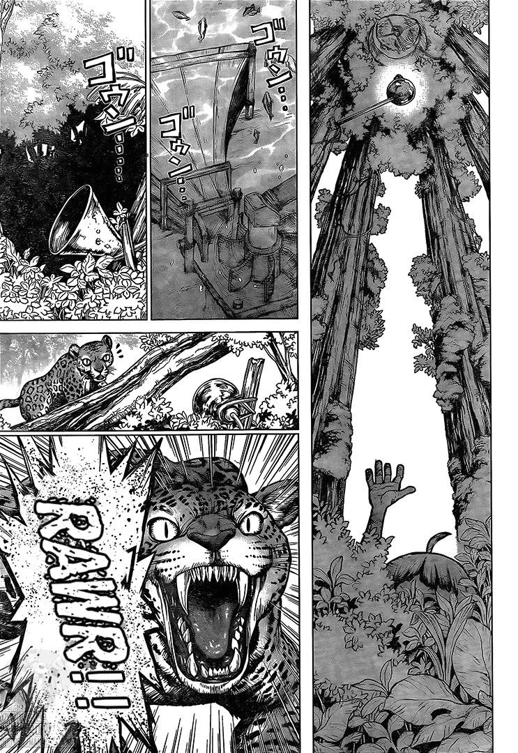 Read DrStone EN Manga Online