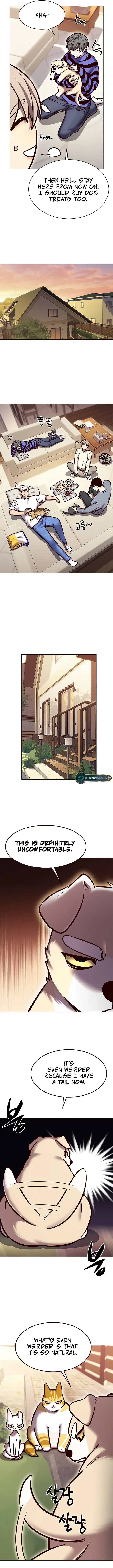 Read Eleceed EN Manga Online