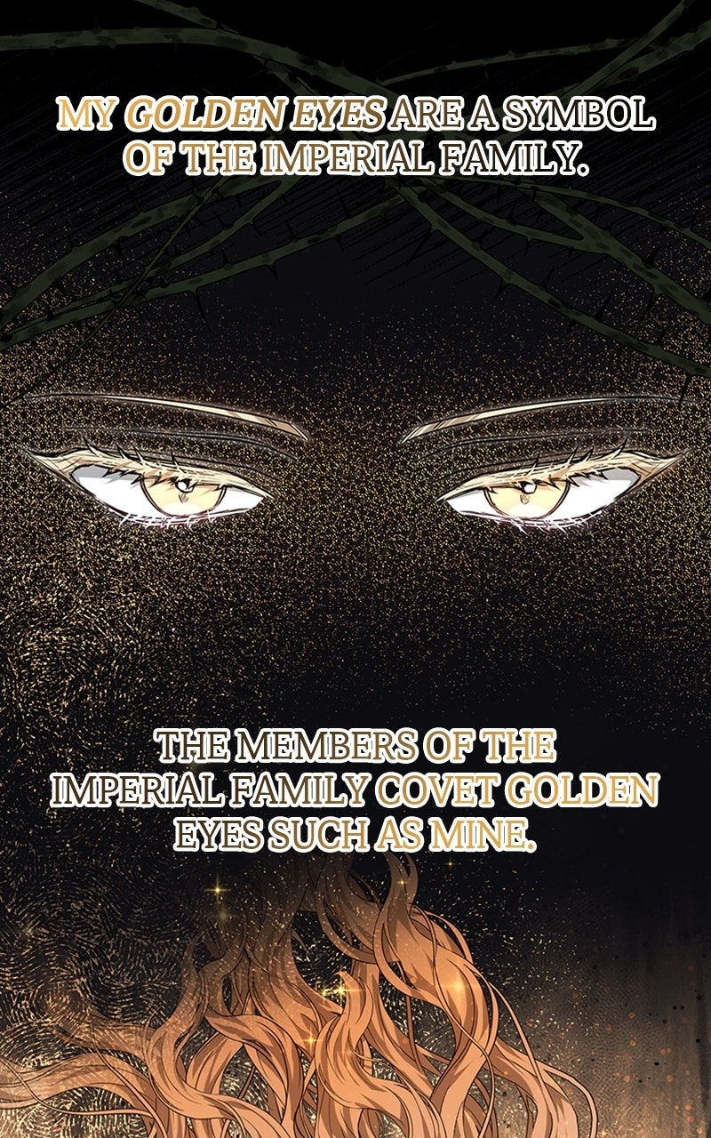 Read The Age of Arrogance EN Manga Online