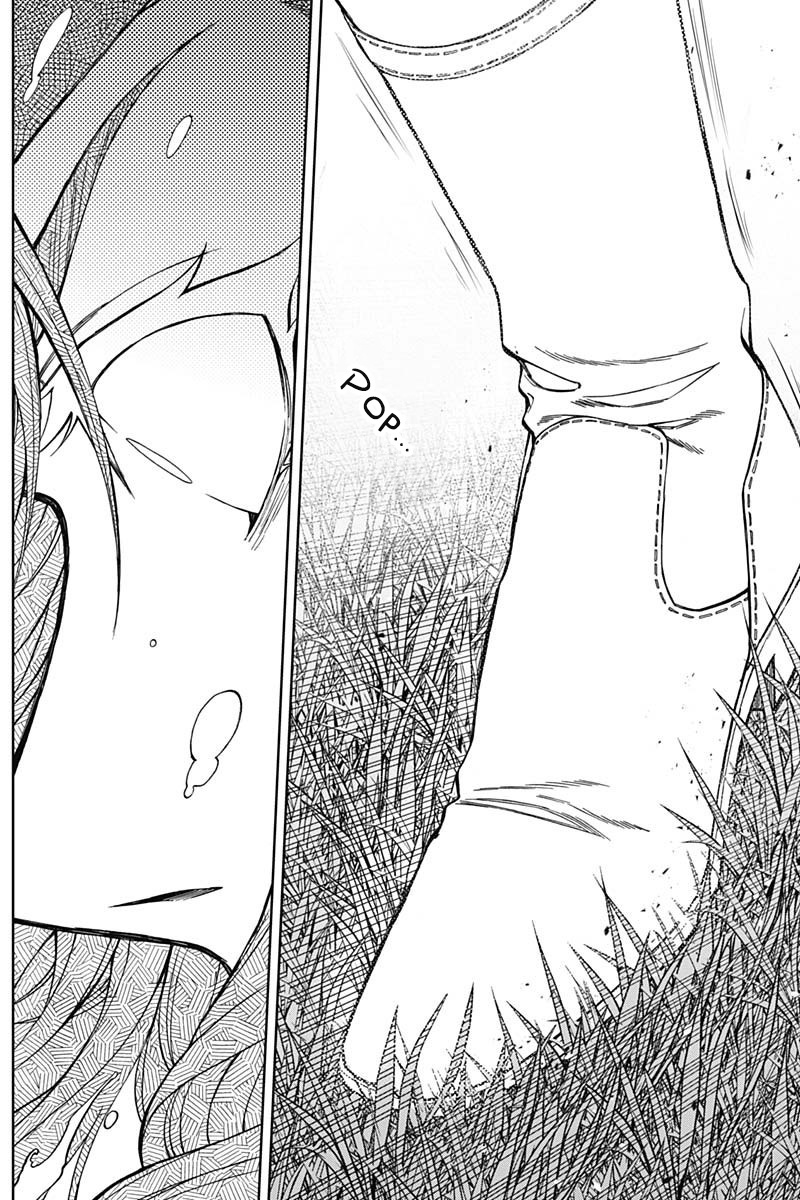 Read Uma Musume Cinderella Gray EN Manga Online