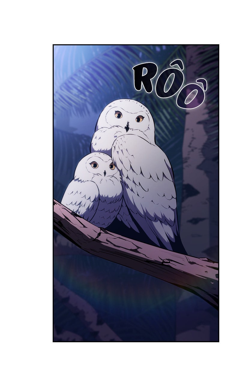 Read I'm the Max-Level Newbie FR Manga Online