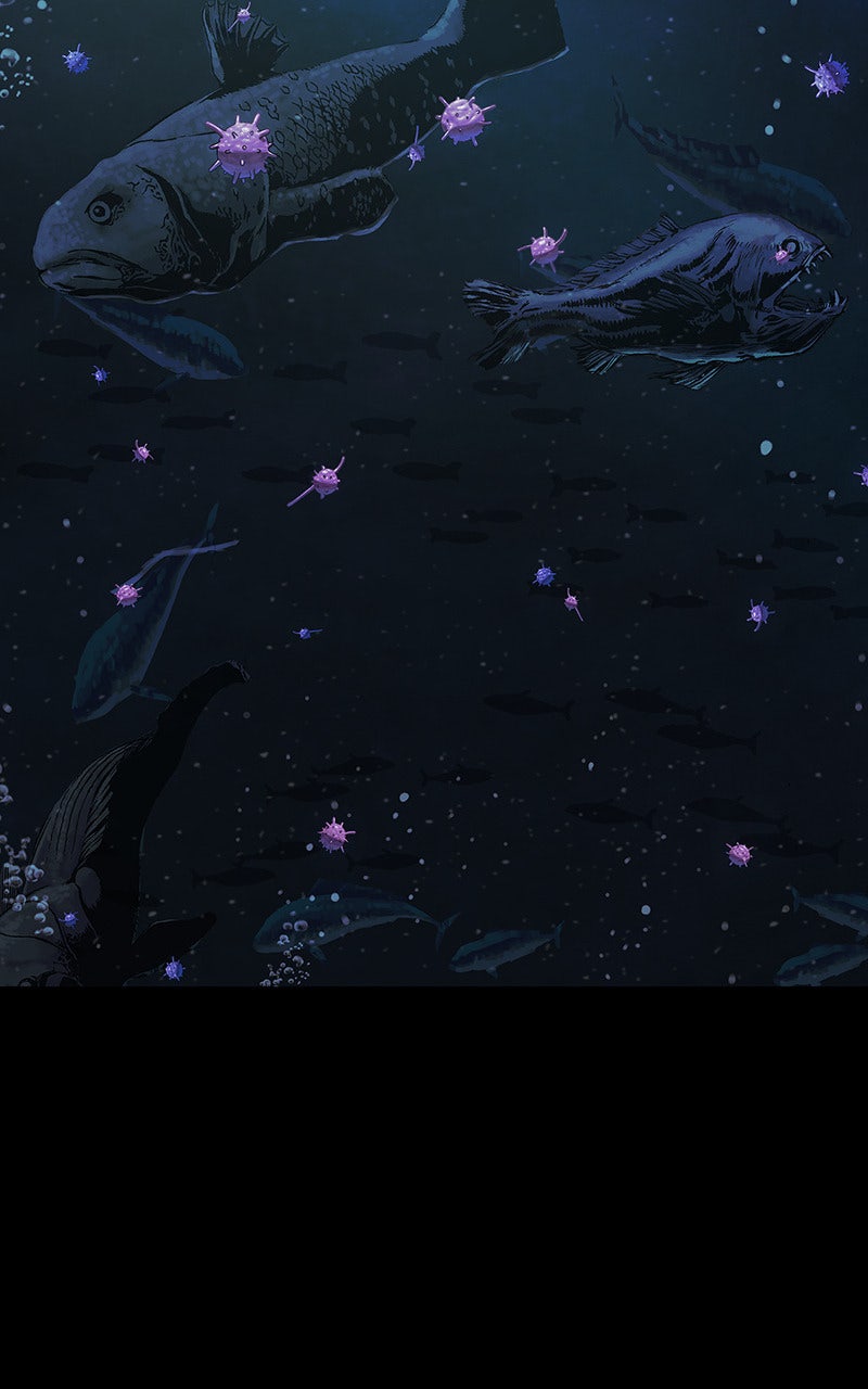 Read Leviathan FR Manga Online