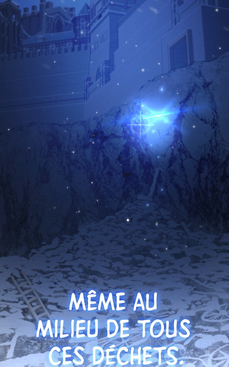 Read The Stellar Swordmaster FR Manga Online