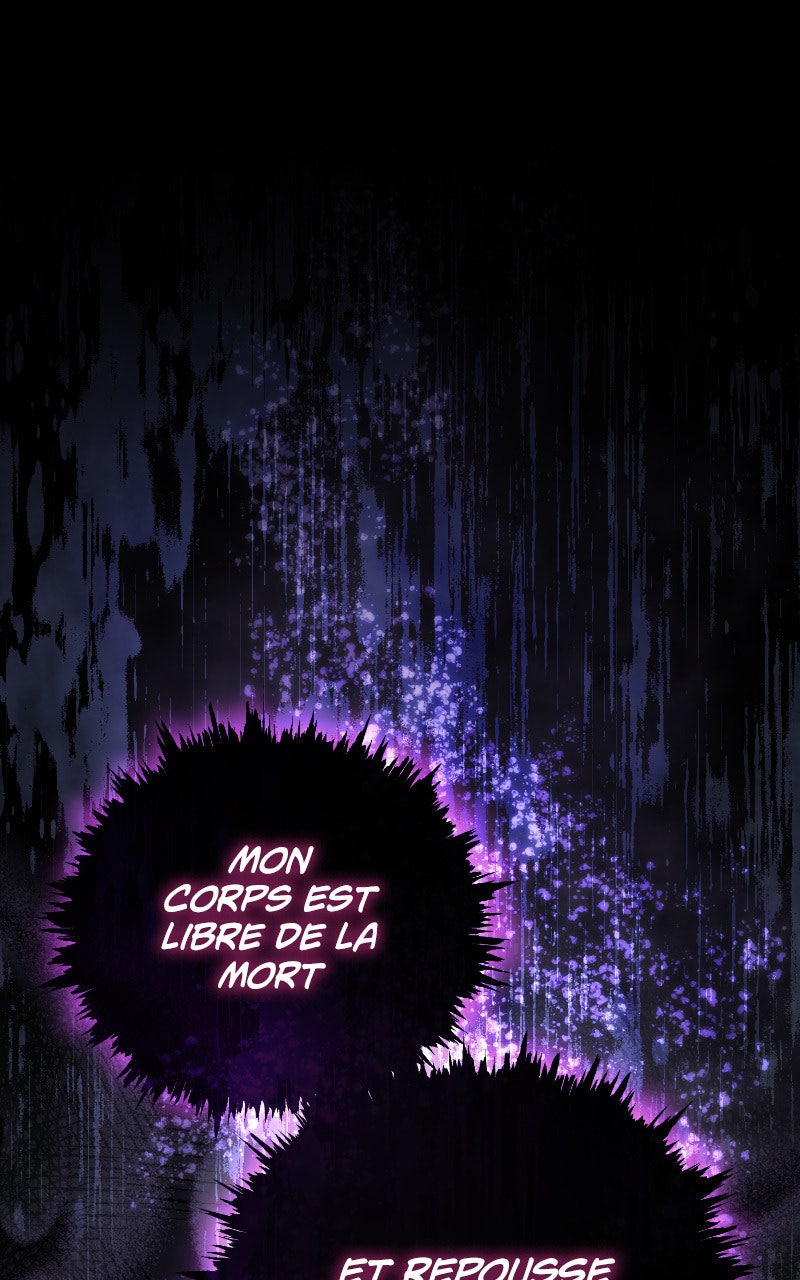 Read The Stellar Swordmaster FR Manga Online