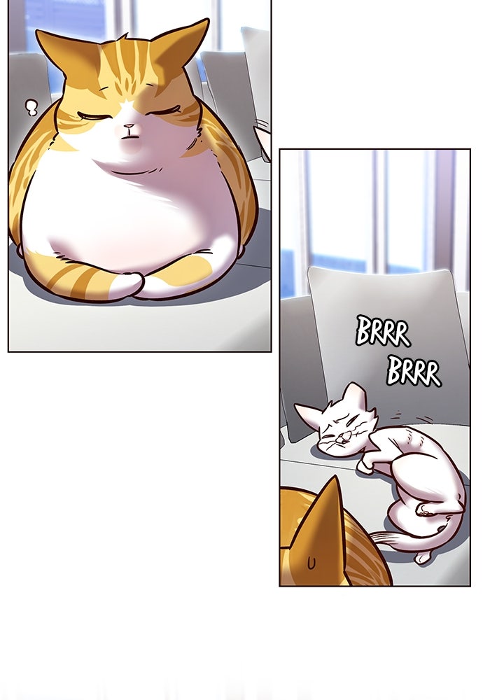 Read Eleceed - Kisah Asli Animasi ID Manga Online