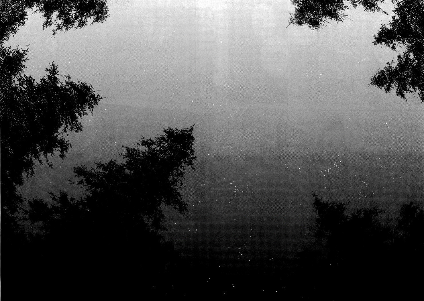 Read Бродяга RU Manga Online