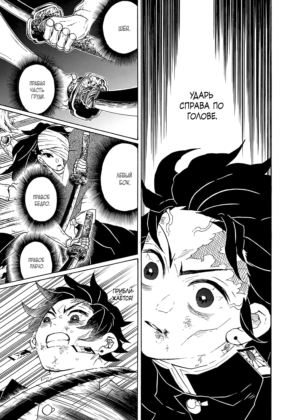 Read Истребитель демонов RU Manga Online