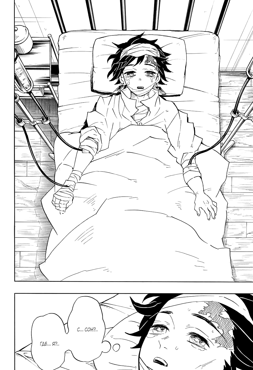 Read Истребитель демонов RU Manga Online