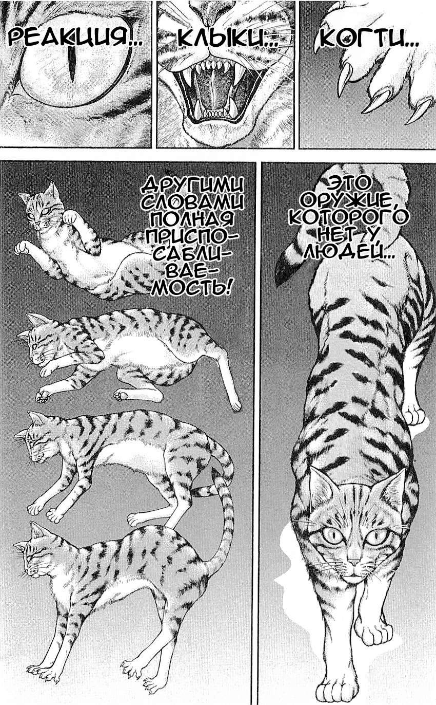 Read Ханма Баки RU Manga Online