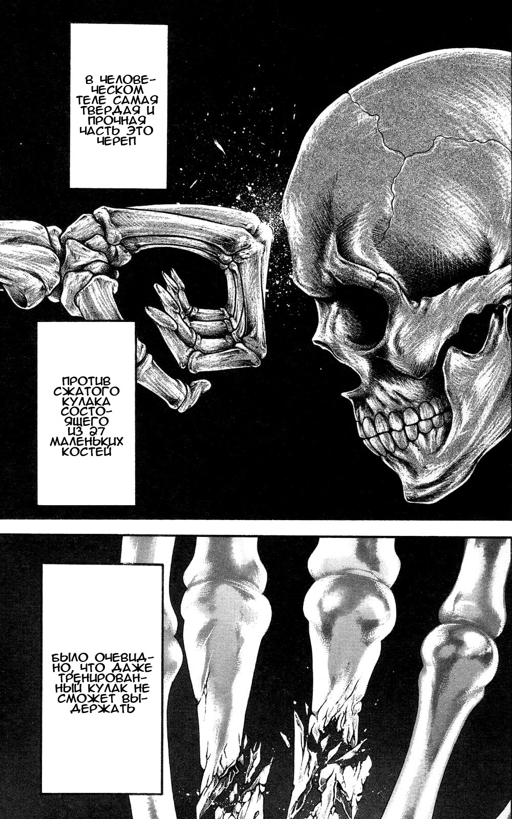 Read Ханма Баки RU Manga Online