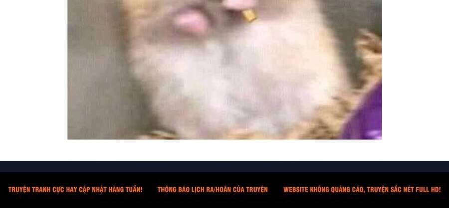 Read Haikyuu VI Manga Online