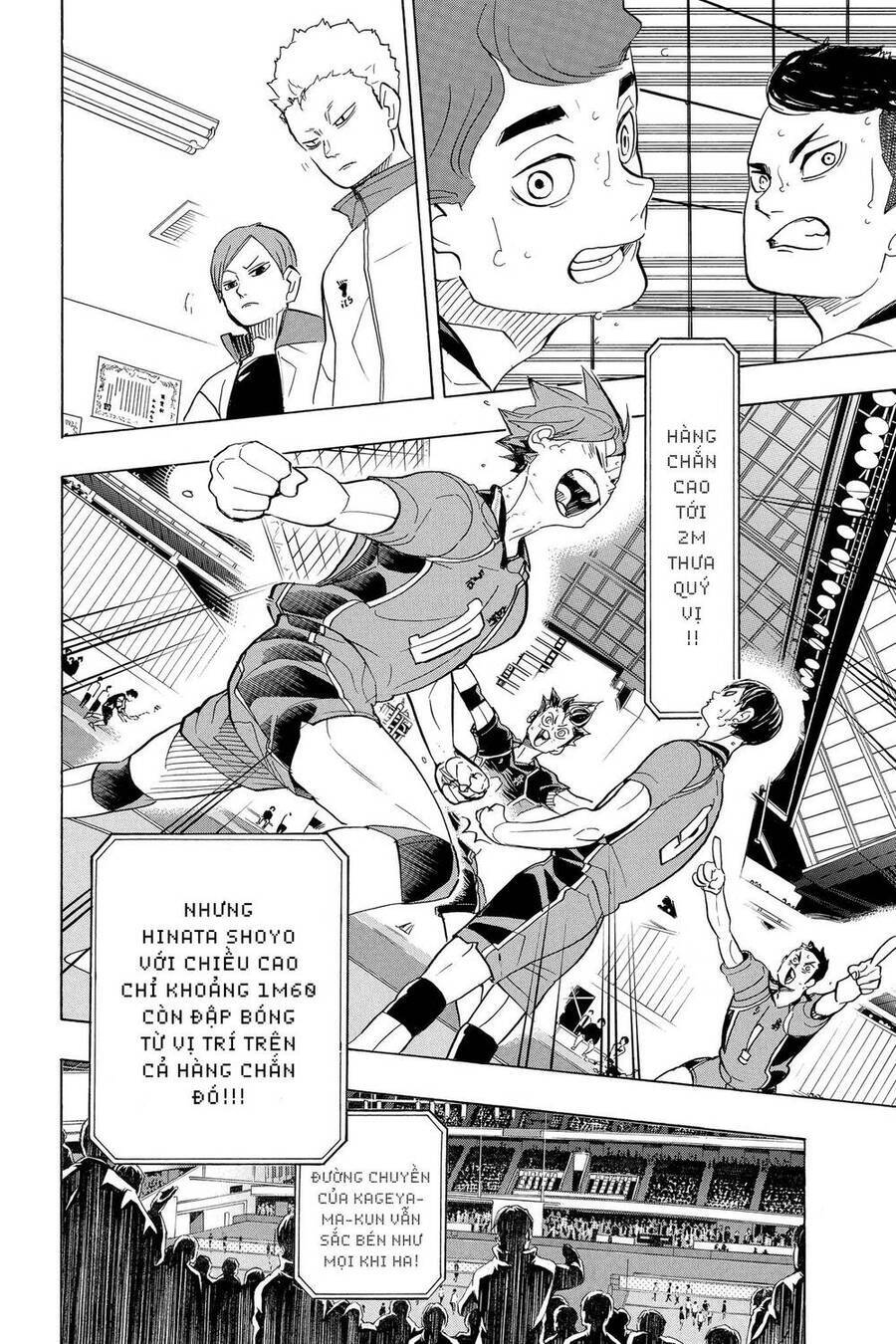 Read Haikyuu VI Manga Online