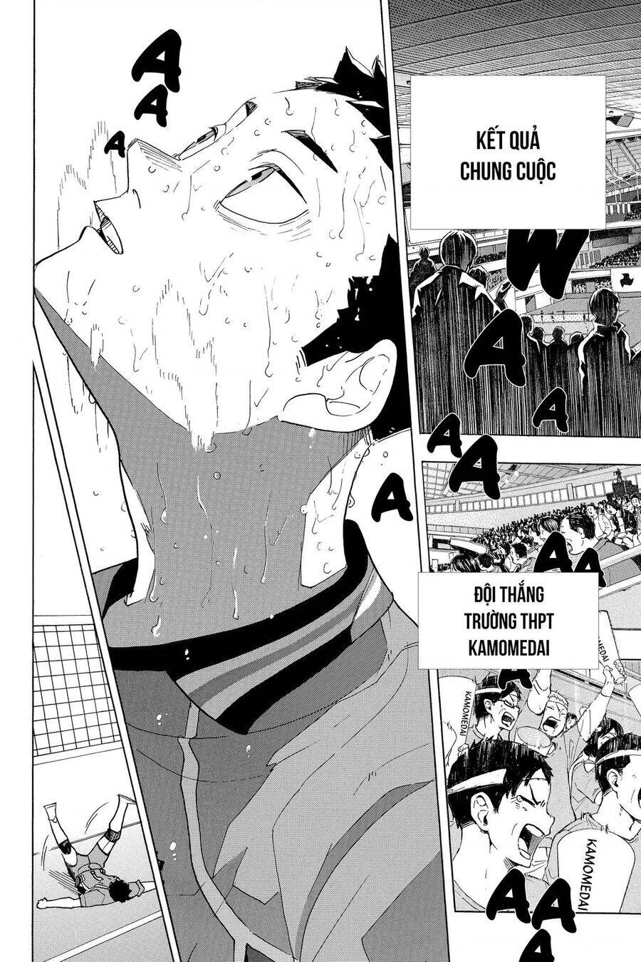 Read Haikyuu VI Manga Online