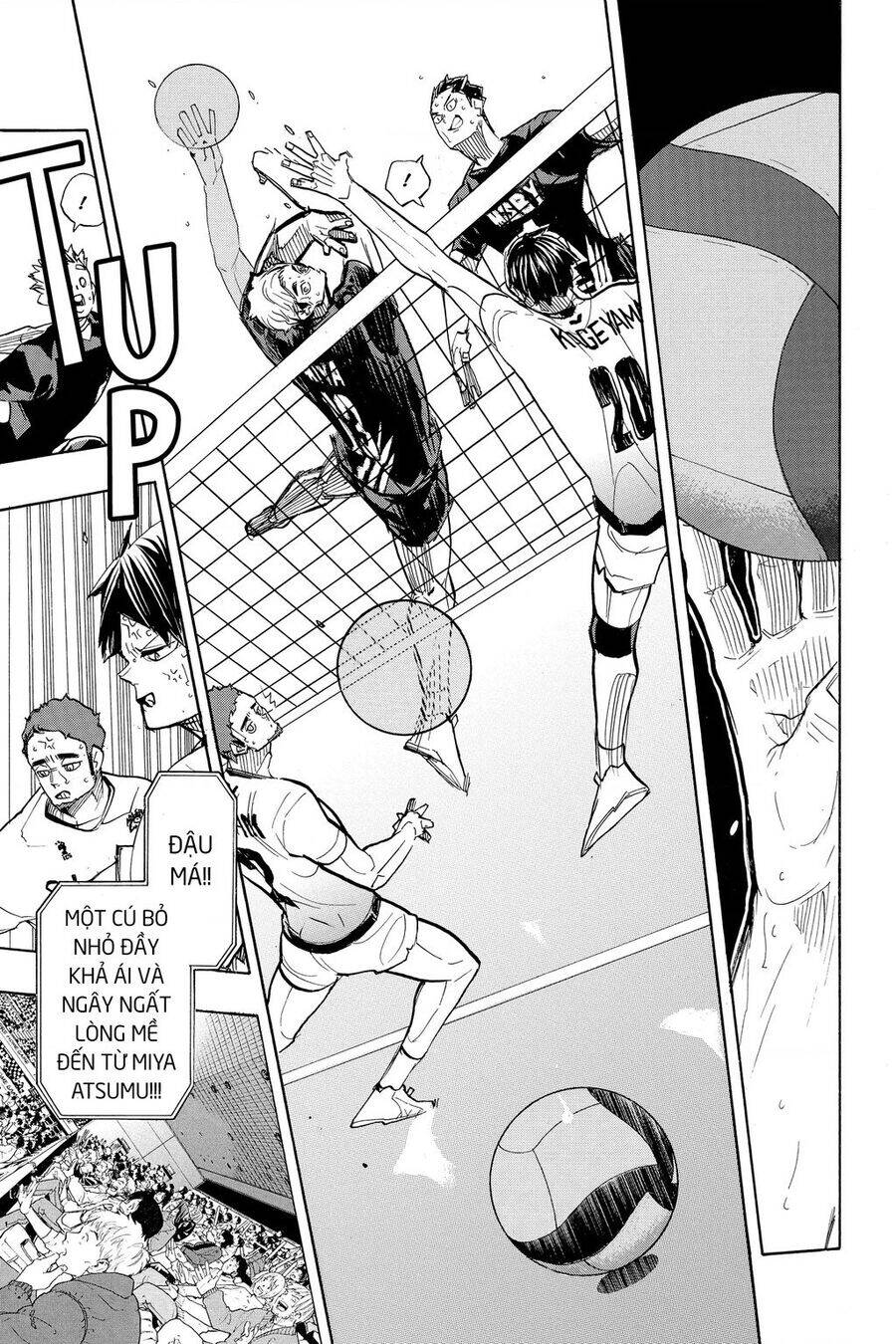 Read Haikyuu VI Manga Online