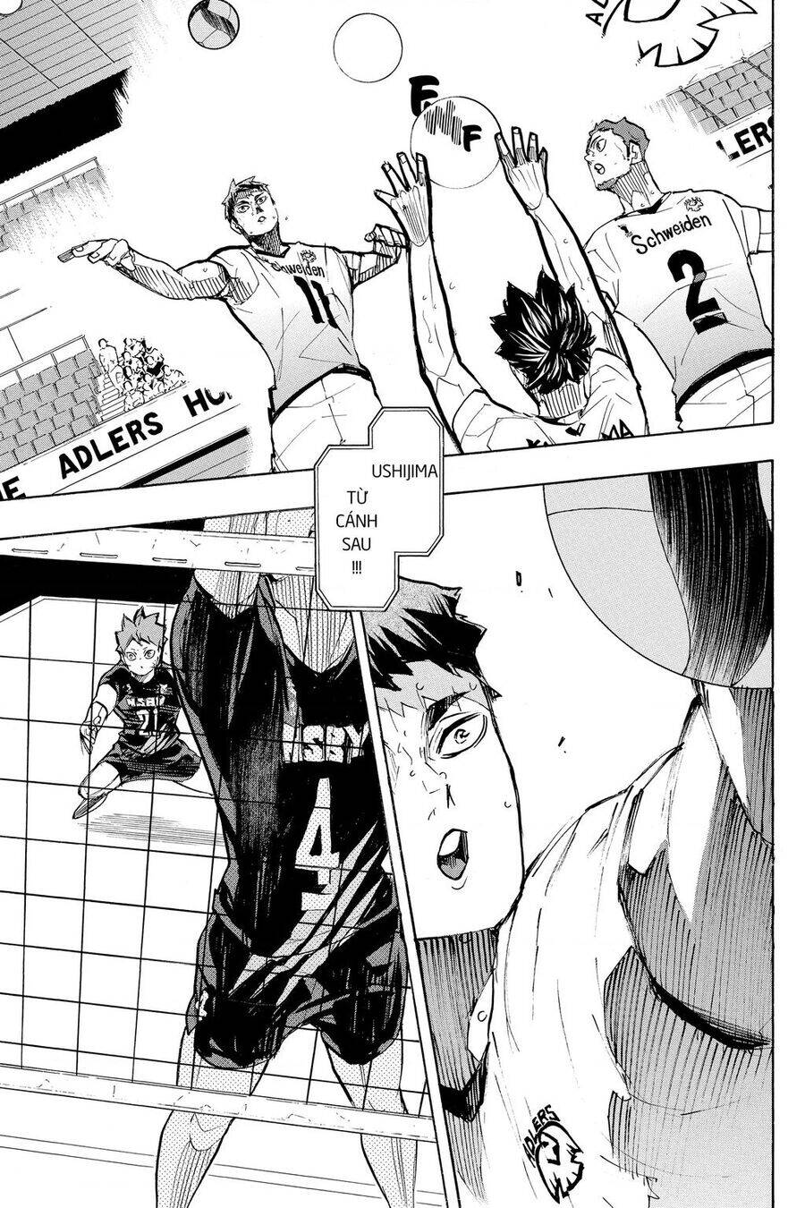 Read Haikyuu VI Manga Online