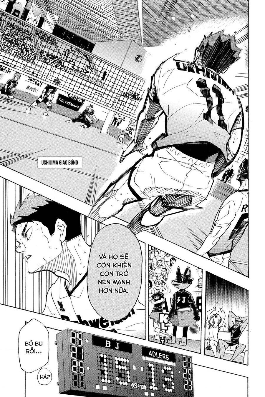 Read Haikyuu VI Manga Online